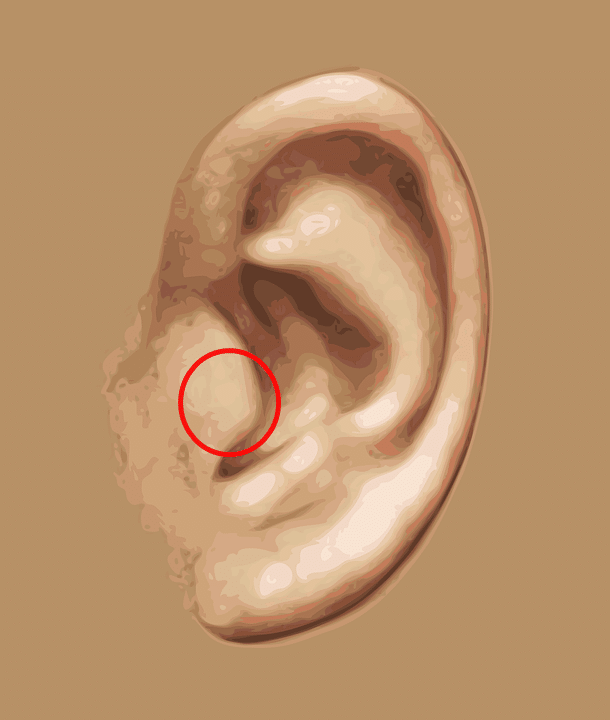 ear-tragus