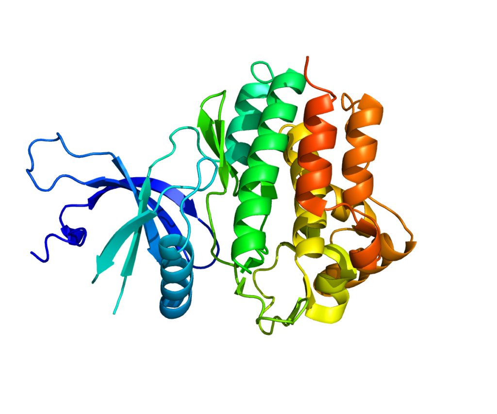 Protein_JAK1_PDB_3EYG